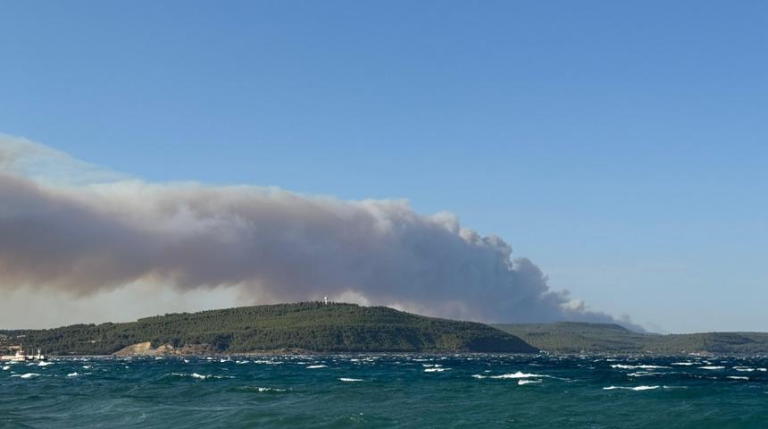 Gelibolu'da orman yangınına havadan ve karadan müdahale ediliyor! Valilikten açıklama