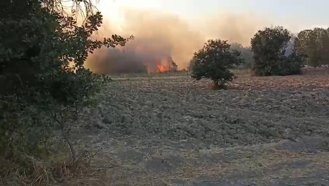 Bursa da korkutan yangını: Havadan ve karadan müdahaleyle söndürüldü 1