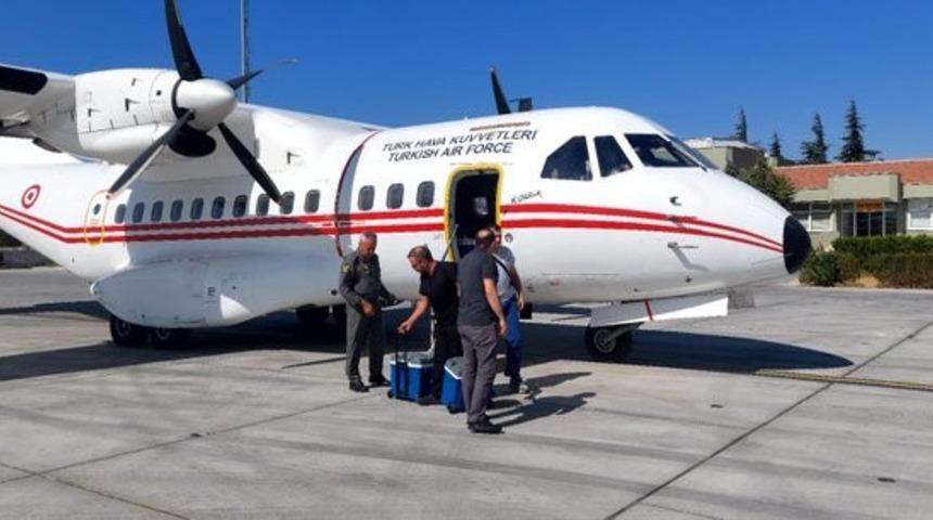 Organ nakli bekleyen hastaya Hava Kuvvetlerine ait ambulansla karaciğer grefti ulaştırıldı