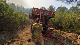 OGM'den yangınlara hızlı müdahale! Büyümeden söndürüldüler: Sadece bu hafta sonu 85 yangın çıktı...
