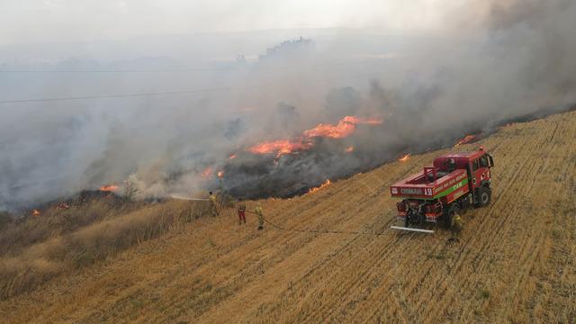 Sadece 2025 yılında 64 bin 500 hektar alan zarar gördü! Yangınlar bakın nerede başlıyormuş...