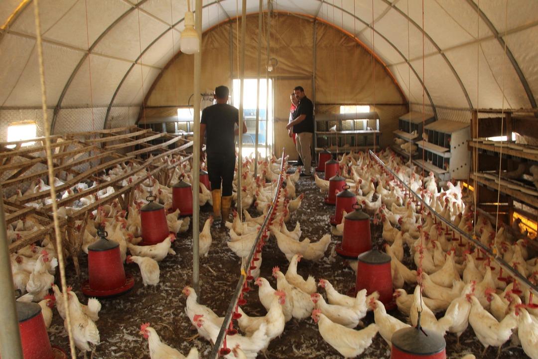 Marketler ondan alıyor! 30 tane ile hobi olarak başladı, tek başına çalışıyor  Yetişemiyorum  3