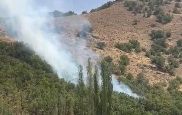 Şemdinli’de orman yangını 2