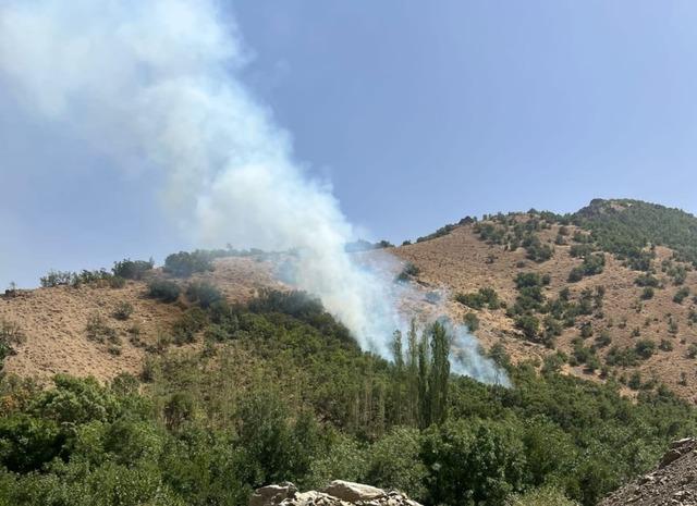 Şemdinli’de orman yangını 1