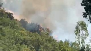 Şemdinli’de orman yangını