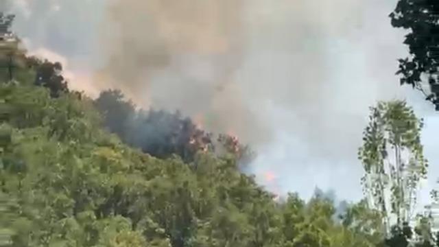 Şemdinli’de orman yangını