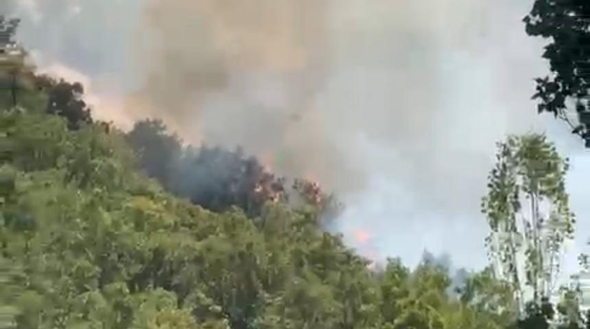 Şemdinli’de orman yangını