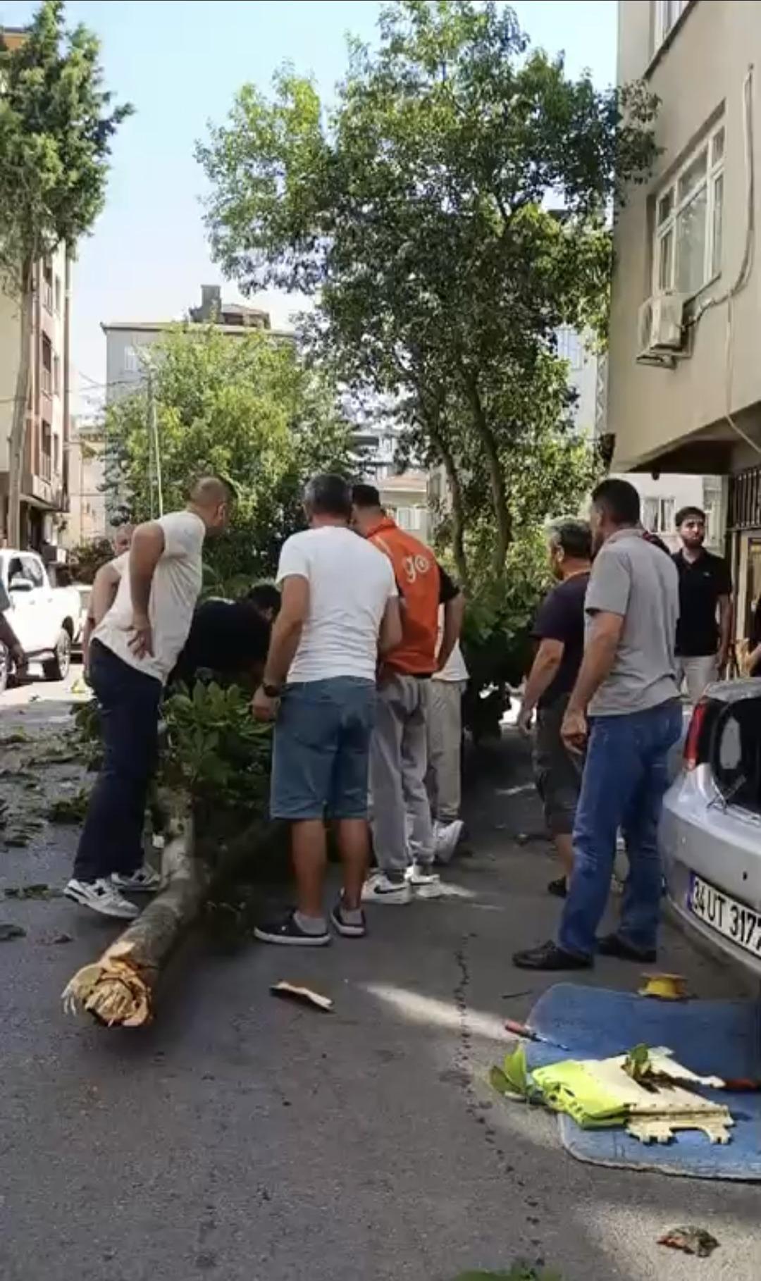 ISTANBUL---KARTAL’DA-UZERINE-AGAC-DEVRIL_869428_258162