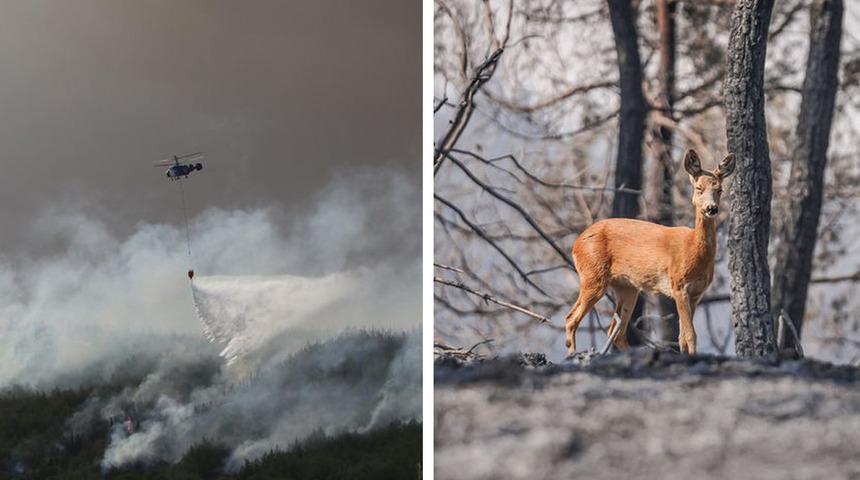 Çanakkale'de alevlerle mücadele sürüyor! Tarihi alanlar için alarm verildi, yangının görüntüleri yürekleri burktu