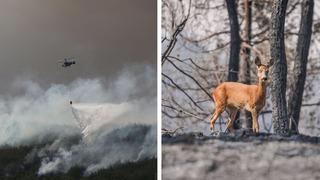 Çanakkale'de alevlerle mücadele sürüyor! Tarihi alanlar için alarm verildi, yangının görüntüleri yürekleri burktu