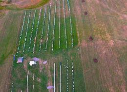 Kilosu 1500 TL! Üniversiteden mezun olunca dede mesleğine başladı 'Tahminlerin üzerinde...'