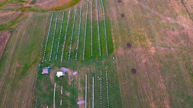 Kilosu 1500 TL! Üniversiteden mezun olunca dede mesleğine başladı 'Tahminlerin üzerinde...'