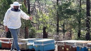 Muğla’da arılı kovan destekleme tespit çalışması yapıldı