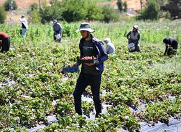 Gelir seviyesi yükseldi, giden geri geldi 'Çevre illerden bile göç var'