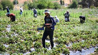 Gelir seviyesi yükseldi, giden geri geldi 'Çevre illerden bile göç var'