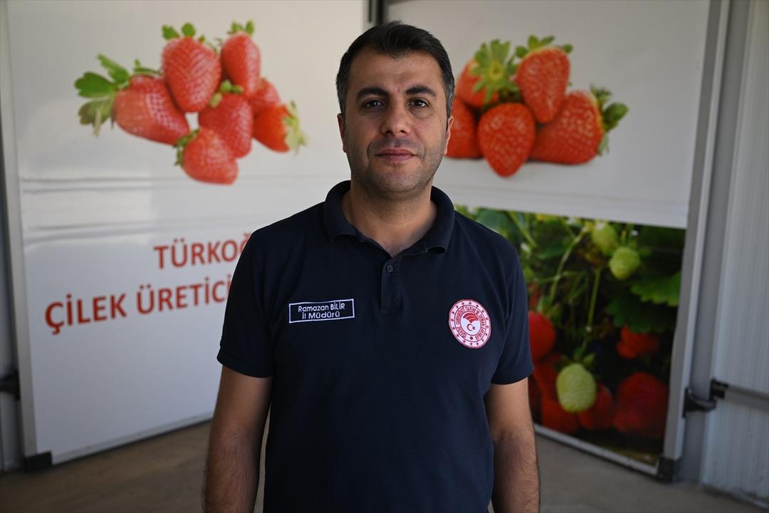 Gelir seviyesi yükseldi, giden geri geldi  Çevre illerden bile göç var  1