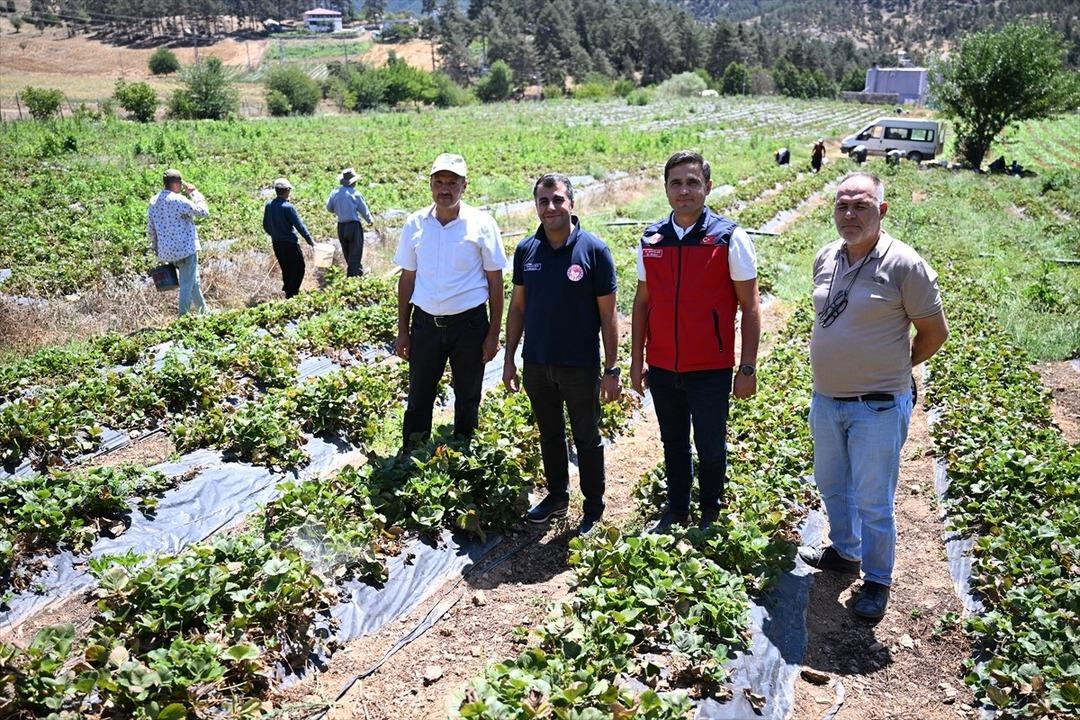 Gelir seviyesi yükseldi, giden geri geldi  Çevre illerden bile göç var  2