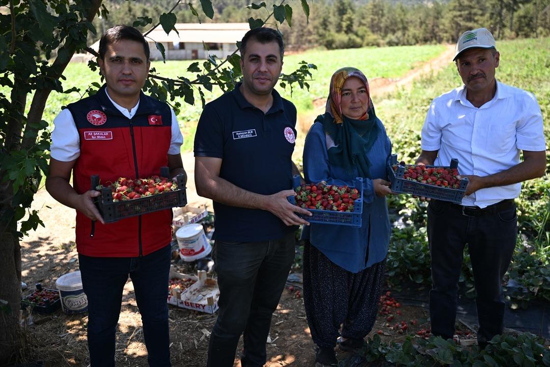 Gelir seviyesi yükseldi, giden geri geldi  Çevre illerden bile göç var  5