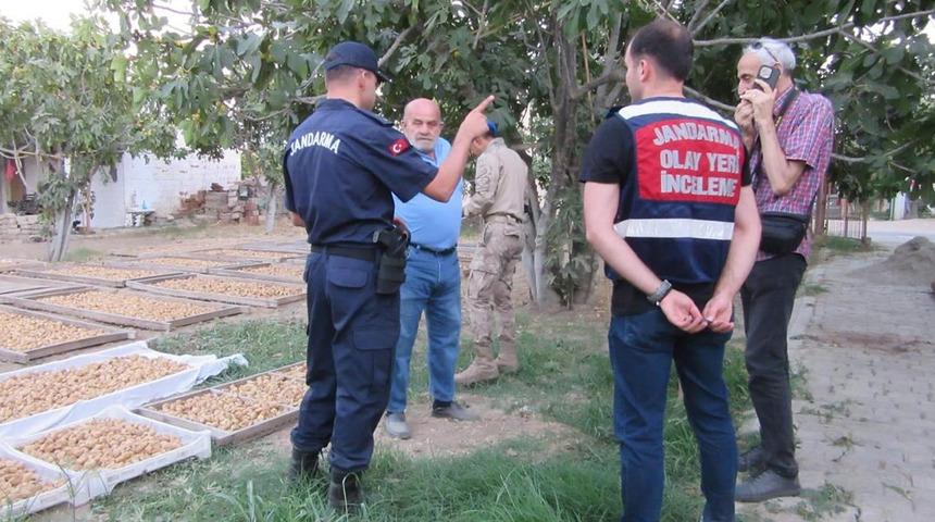 Germencik’te incir hırsızlığına karşı jandarmadan sıkı denetim