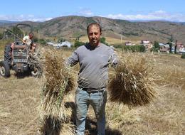 6 yıl önce ilk deneme yapıldı, destek ve 'alım garantisi' olunca yüzde 1500 arttı