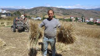 6 yıl önce ilk deneme yapıldı, destek ve 'alım garantisi' olunca yüzde 1500 arttı