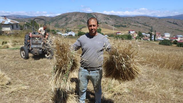 6 yıl önce ilk deneme yapıldı, destek ve 'alım garantisi' olunca yüzde 1500 arttı