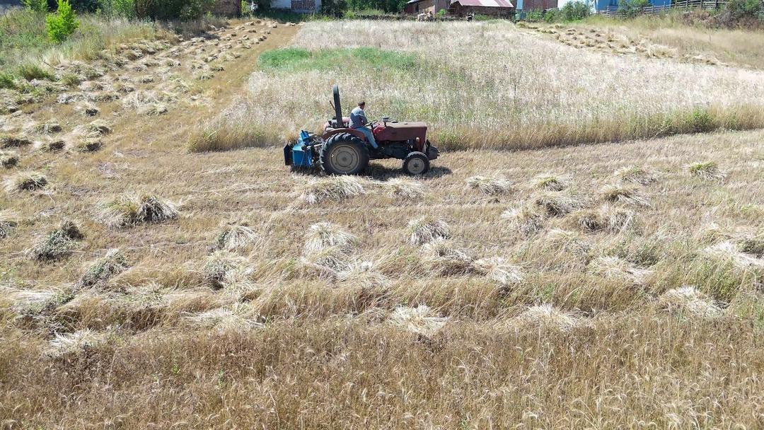 6 yıl önce ilk deneme yapıldı, destek ve  alım garantisi  olunca yüzde 1500 arttı 1