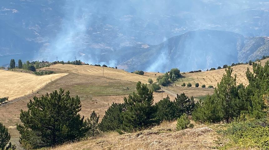 Çorum'da orman yangını!