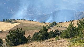 Çorum'da orman yangını!