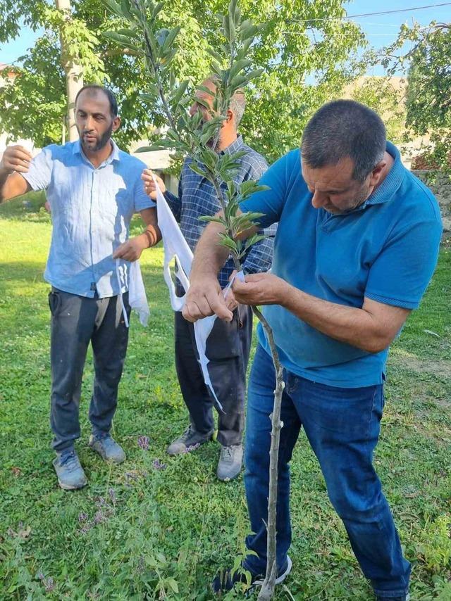 Kars’ta meyve ağaçları aşılanıyor 2