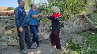 Kars’ta meyve ağaçları aşılanıyor