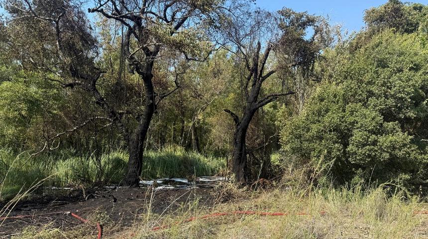 Fethiye'deki orman yangını hızlı müdahaleyle büyümeden söndürüldü