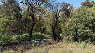 Fethiye'deki orman yangını hızlı müdahaleyle büyümeden söndürüldü
