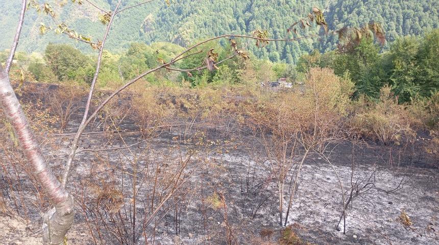 Kastamonu'da bir evde çıkarak ormanlık alana sıçrayan yangın söndürüldü