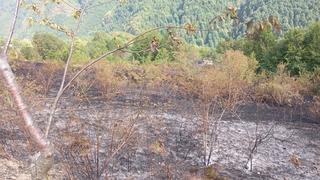 Kastamonu'da bir evde çıkarak ormanlık alana sıçrayan yangın söndürüldü