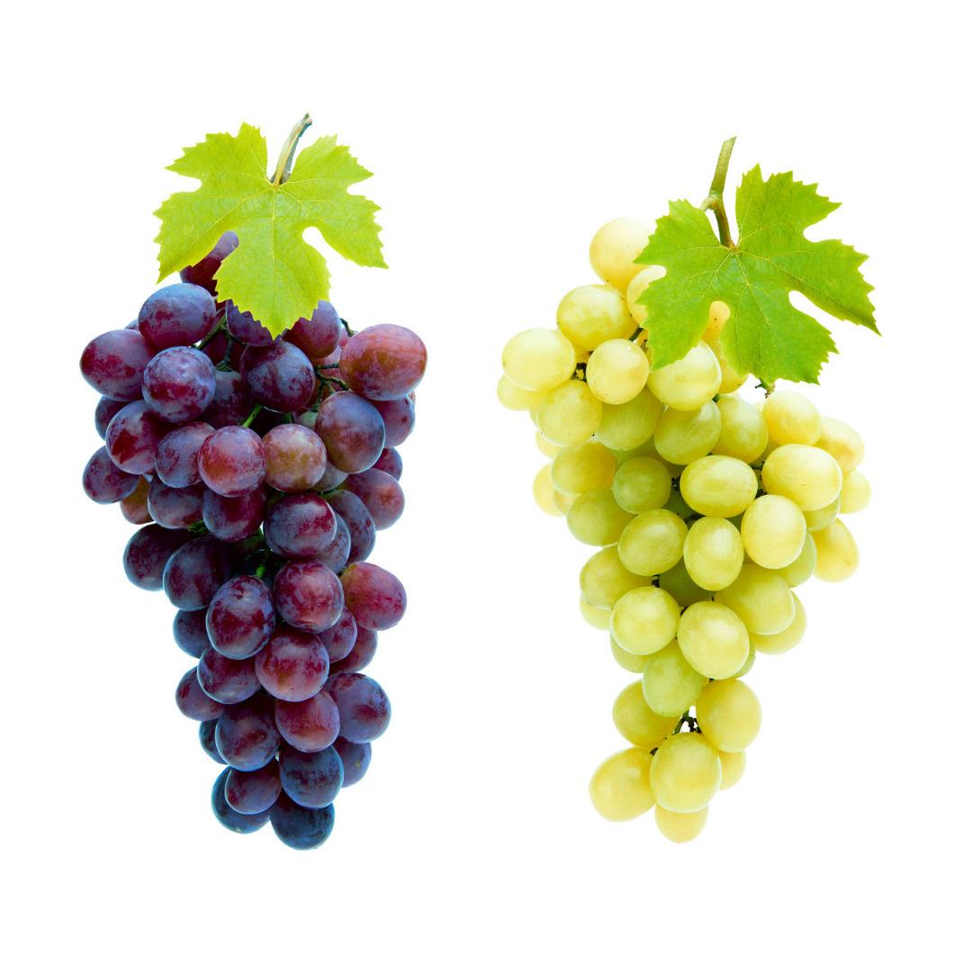 Yaşam alanınıza doğayı taşıyın! Fidanistanbul da %60 a varan indirim başladı 2