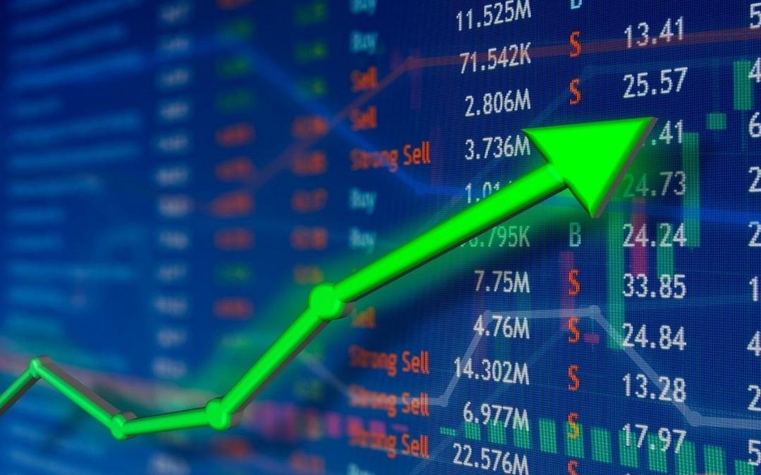 CELHA nın net karı yüzde 1000 den fazla azaldı 2