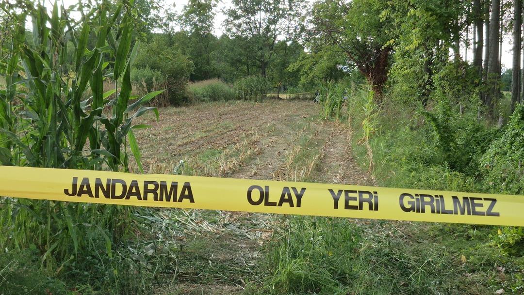 Cinayetin izleri: İnsan kafatası, kıyafetler ve ilaç kutuları... Kayıp olarak aranıyordu mısır tarlasından kemikleri çıktı! 1