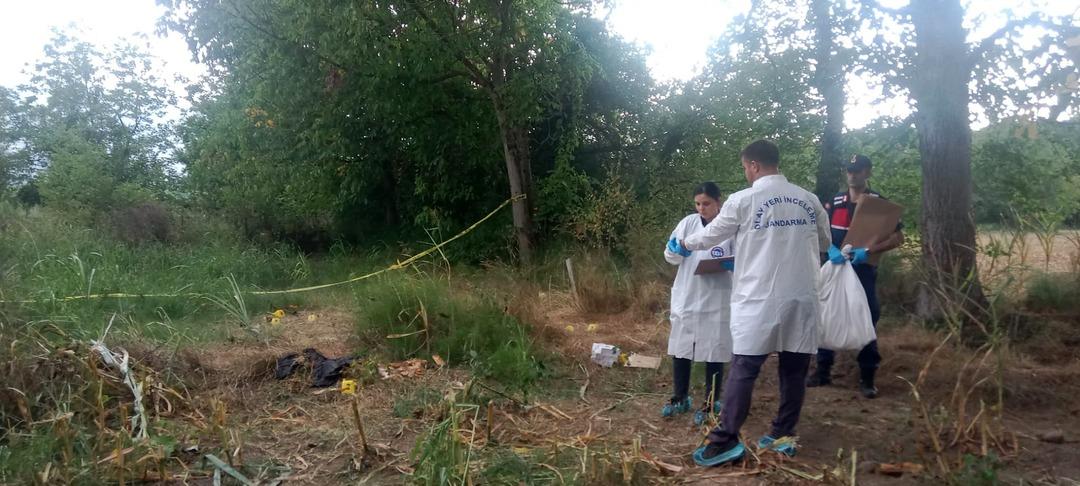 Cinayetin izleri: İnsan kafatası, kıyafetler ve ilaç kutuları... Kayıp olarak aranıyordu mısır tarlasından kemikleri çıktı! 2
