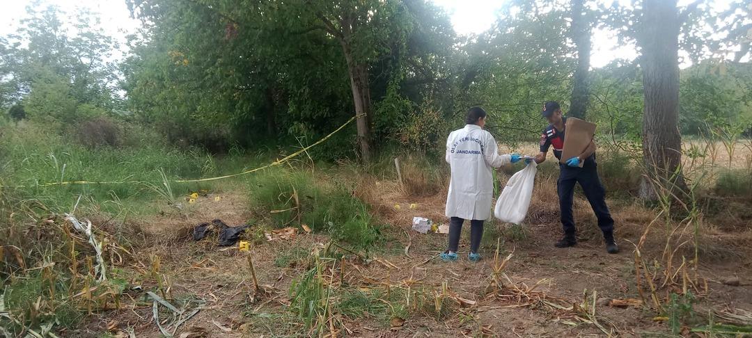 Cinayetin izleri: İnsan kafatası, kıyafetler ve ilaç kutuları... Kayıp olarak aranıyordu mısır tarlasından kemikleri çıktı! 4