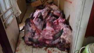 Yumurta paketinden hamam böceği yumurtaları çıktı: Denetimden çıkanlar şoke etti! İmha edilecek