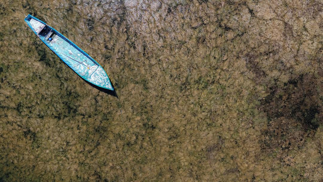 Türkiye nin en büyük tatlı su gölü can çekişiyor: "Beyşehir Gölü vefat etmiştir, Türkiye’nin başı sağ olsun" 3