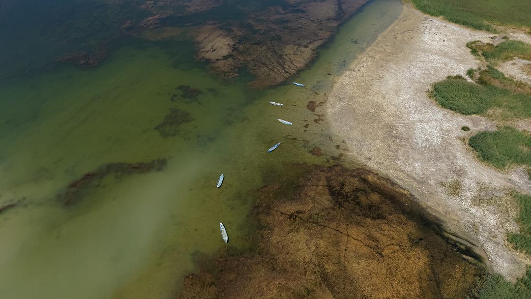 Türkiye nin en büyük tatlı su gölü can çekişiyor: "Beyşehir Gölü vefat etmiştir, Türkiye’nin başı sağ olsun" 4