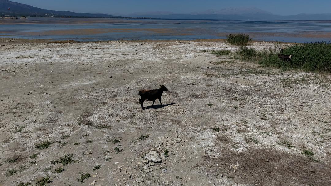 Türkiye nin en büyük tatlı su gölü can çekişiyor: "Beyşehir Gölü vefat etmiştir, Türkiye’nin başı sağ olsun" 5