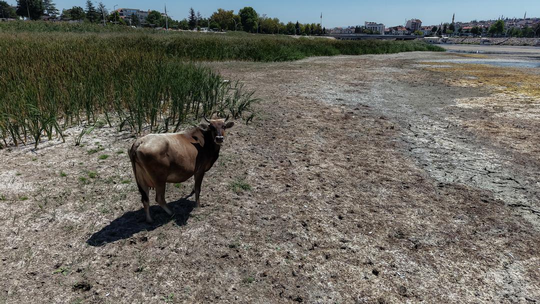 Türkiye nin en büyük tatlı su gölü can çekişiyor: "Beyşehir Gölü vefat etmiştir, Türkiye’nin başı sağ olsun" 2