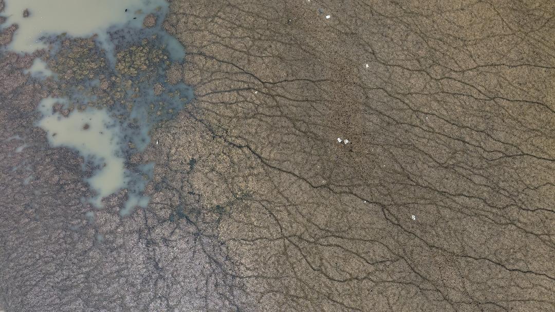 Türkiye nin en büyük tatlı su gölü can çekişiyor: "Beyşehir Gölü vefat etmiştir, Türkiye’nin başı sağ olsun" 6