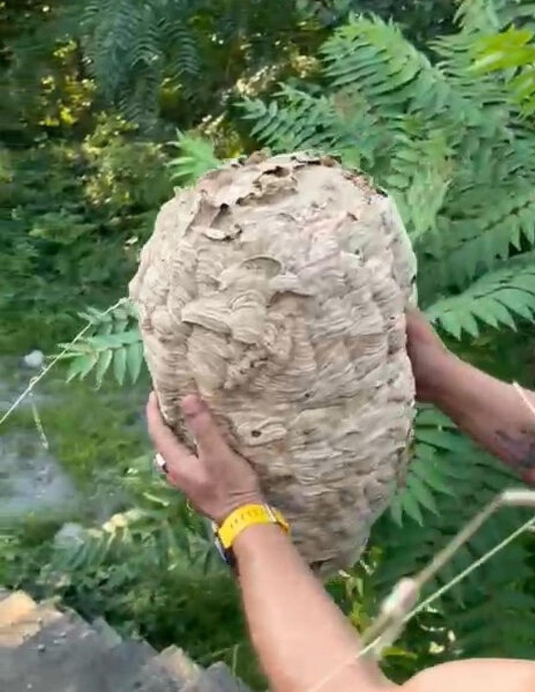 Evin deposuna giren tavana asılı halde buldu! Mahalleli şaşkına döndü 1