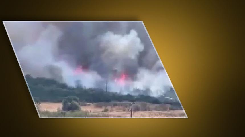 Bursa Nilüfer'de orman yangını: Alevler rüzgarın etkisiyle büyüdü