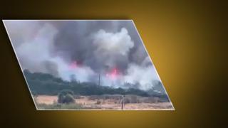 Bursa Nilüfer'de orman yangını: Alevler rüzgarın etkisiyle büyüdü