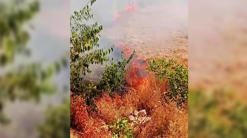 Karabük'te orman yangını! Ekipler müdahale etti